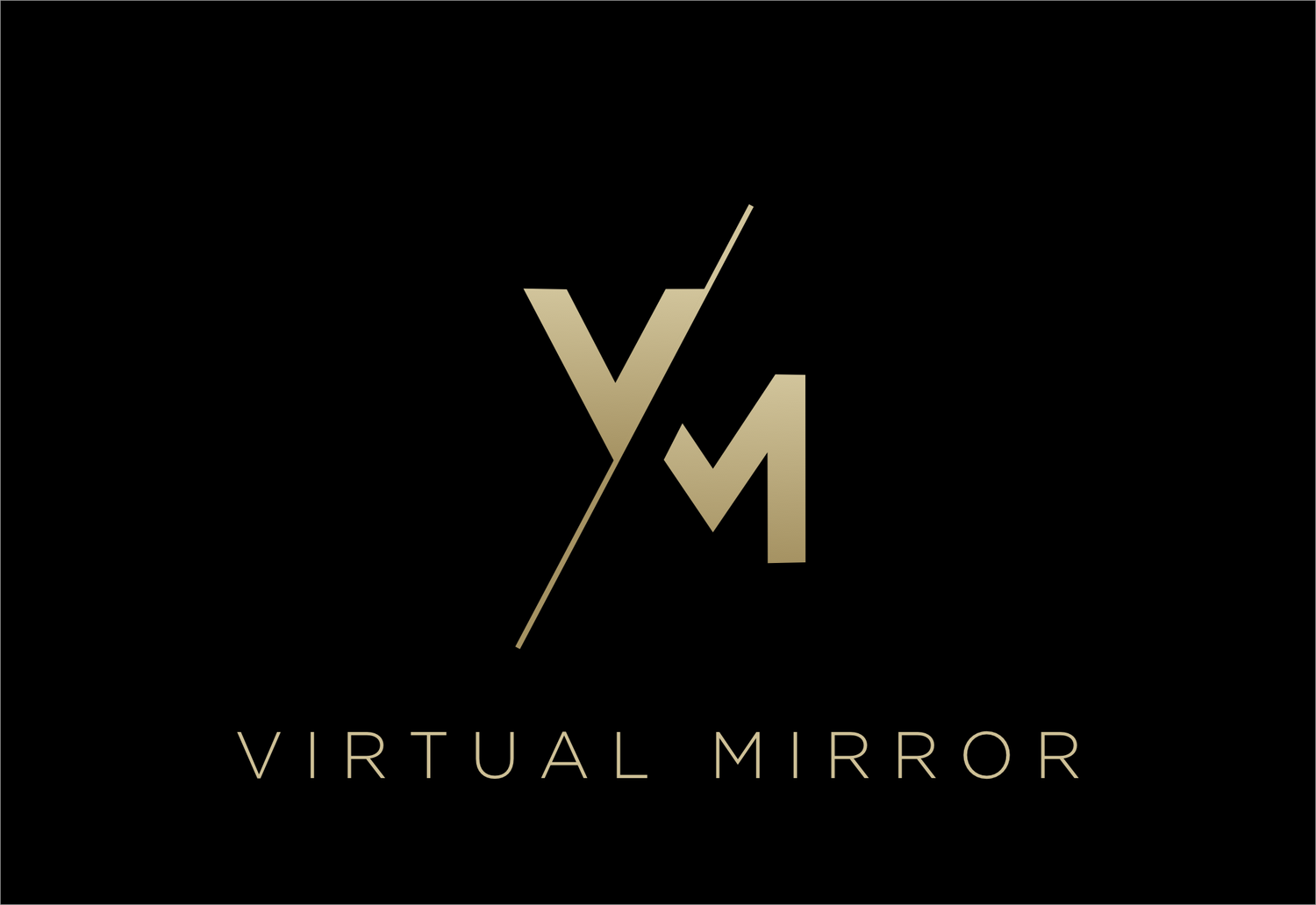 Virtual Mirror